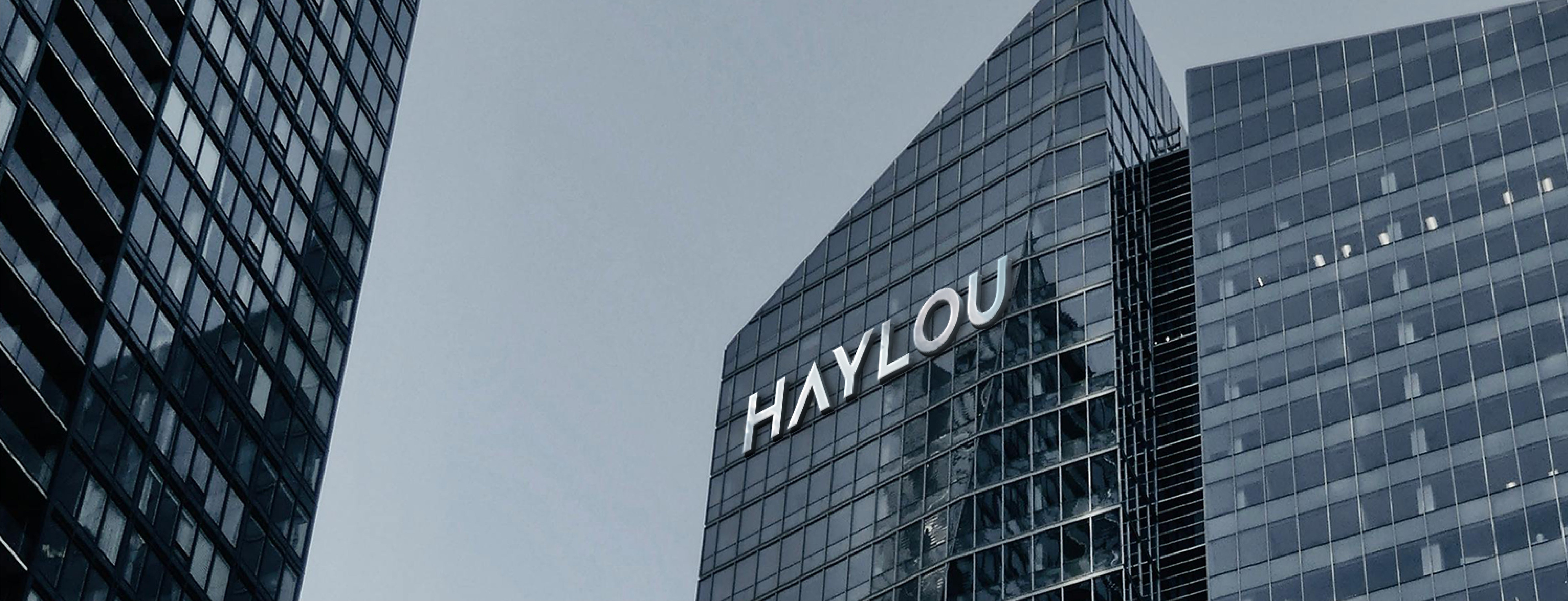 HAYLOU Brand Vision Banner Background