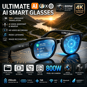 AI Smart Glasses OEM Type-C Charging
